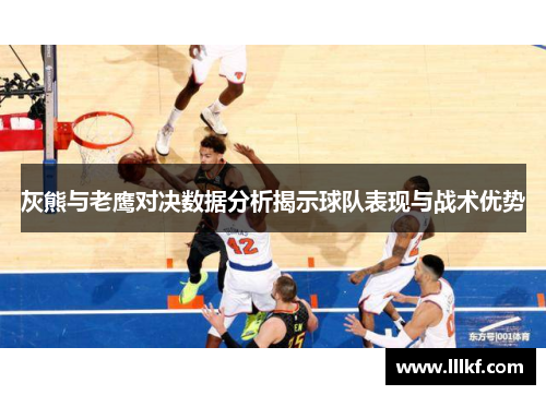 灰熊与老鹰对决数据分析揭示球队表现与战术优势